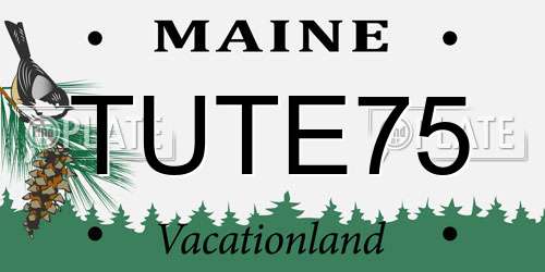TUTE75 Maine License Plate
