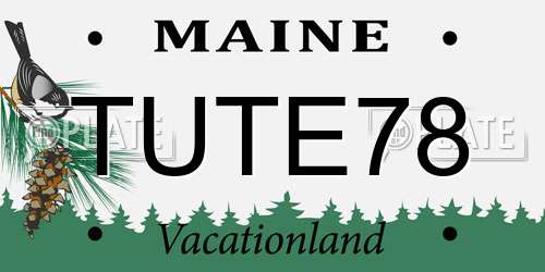 TUTE78 Maine License Plate