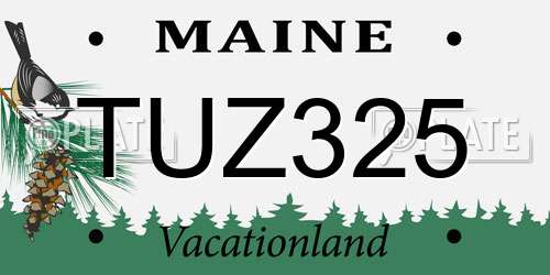 TUZ325 Maine License Plate