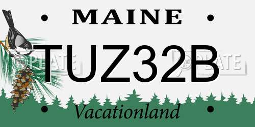 TUZ32B Maine License Plate