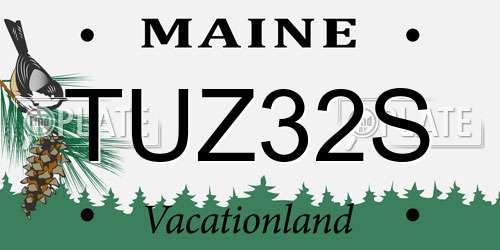 TUZ32S Maine License Plate