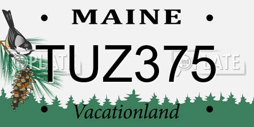TUZ375 Maine License Plate