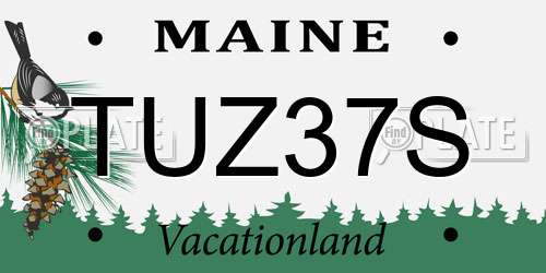 TUZ37S Maine License Plate
