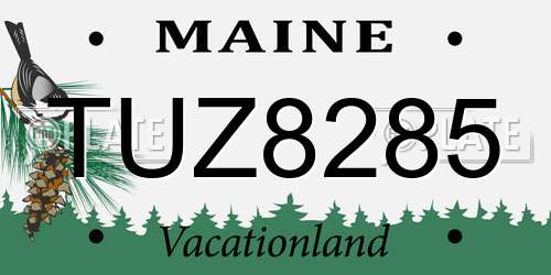 TUZ8285 Maine License Plate