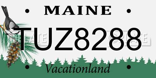 TUZ8288 Maine License Plate