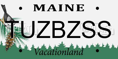 TUZBZSS Maine License Plate