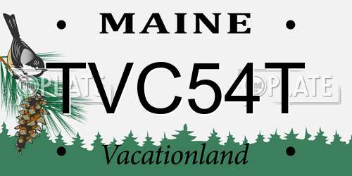 TVC54T Maine License Plate
