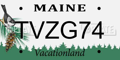 TVZG74 Maine License Plate