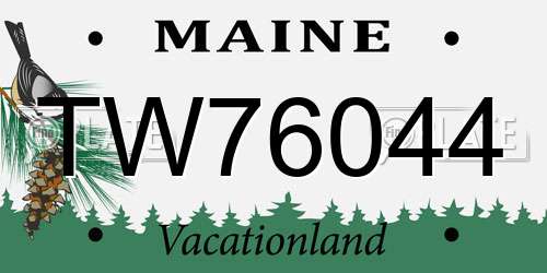 TW76044 Maine License Plate