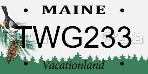 TWG233 Maine License Plate
