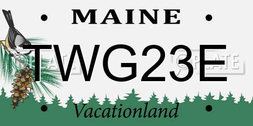 TWG23E Maine License Plate