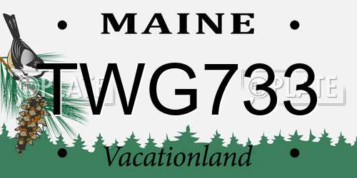 TWG733 Maine License Plate