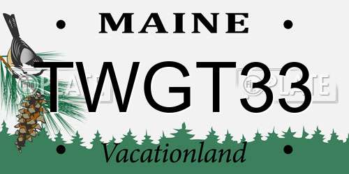TWGT33 Maine License Plate
