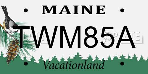 TWM85A Maine License Plate