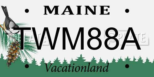 TWM88A Maine License Plate