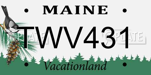 TWV431 Maine License Plate