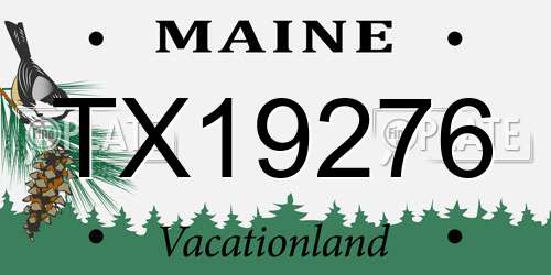 TX19276 Maine License Plate