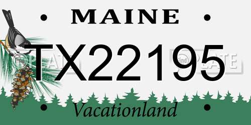 TX22195 Maine License Plate