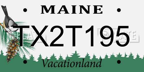 TX2T195 Maine License Plate