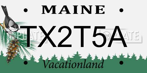 TX2T5A Maine License Plate