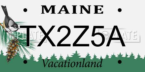 TX2Z5A Maine License Plate