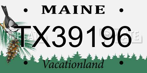 TX39196 Maine License Plate