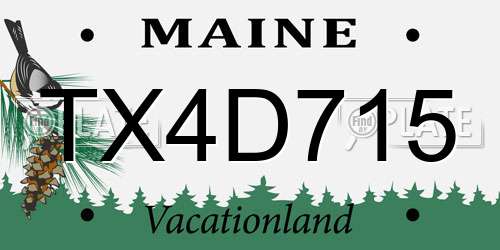 TX4D715 Maine License Plate