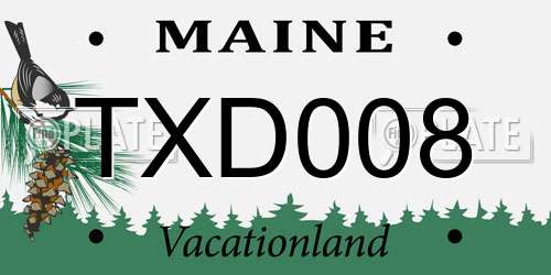 TXD008 Maine License Plate