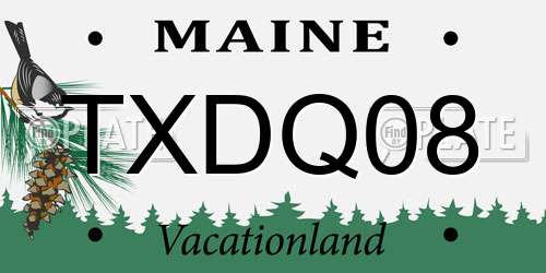 TXDQ08 Maine License Plate