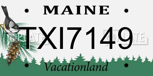 TXI7149 Maine License Plate