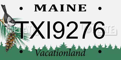 TXI9276 Maine License Plate
