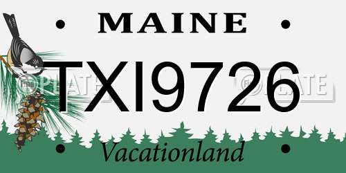 TXI9726 Maine License Plate