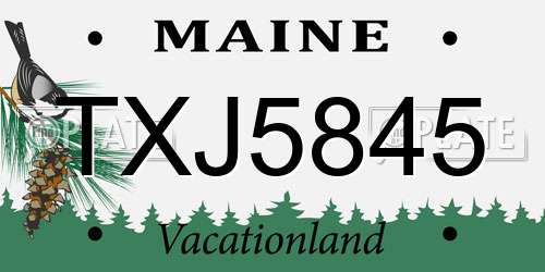 TXJ5845 Maine License Plate