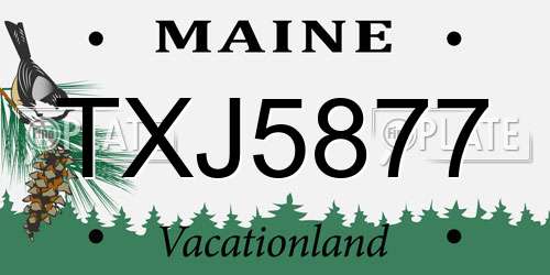 TXJ5877 Maine License Plate