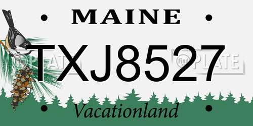 TXJ8527 Maine License Plate