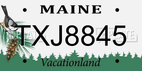 TXJ8845 Maine License Plate