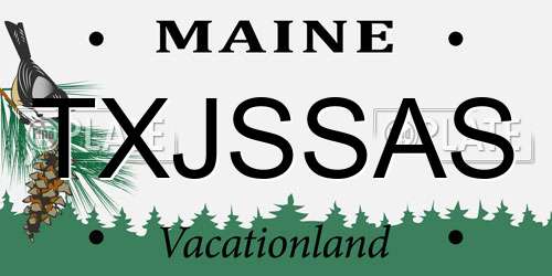 TXJSSAS Maine License Plate