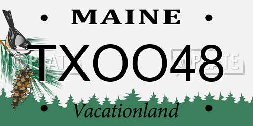 TXOO48 Maine License Plate