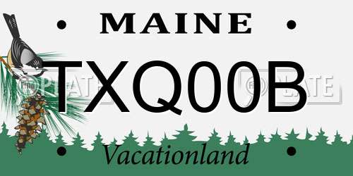 TXQ00B Maine License Plate