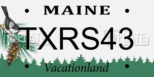 TXRS43 Maine License Plate