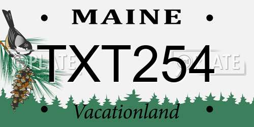 TXT254 Maine License Plate