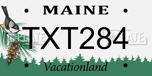 TXT284 Maine License Plate