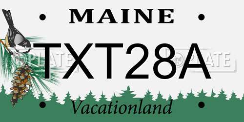 TXT28A Maine License Plate