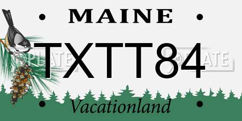 TXTT84 Maine License Plate
