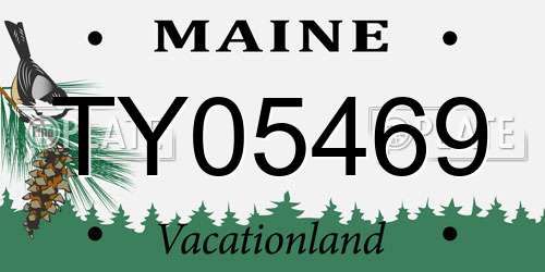 TY05469 Maine License Plate