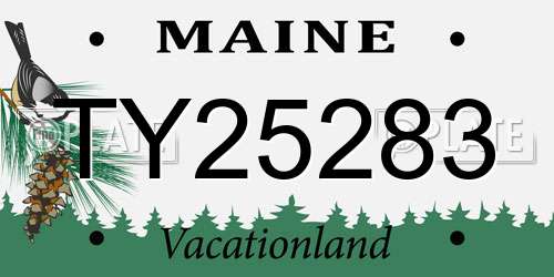 TY25283 Maine License Plate