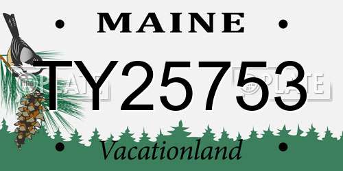 TY25753 Maine License Plate