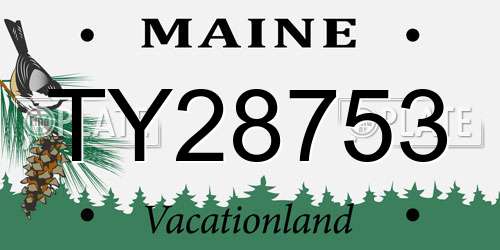 TY28753 Maine License Plate