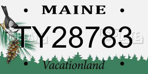 TY28783 Maine License Plate