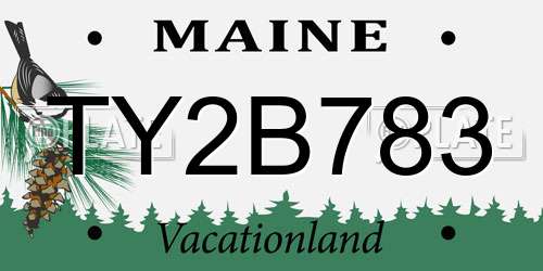 TY2B783 Maine License Plate